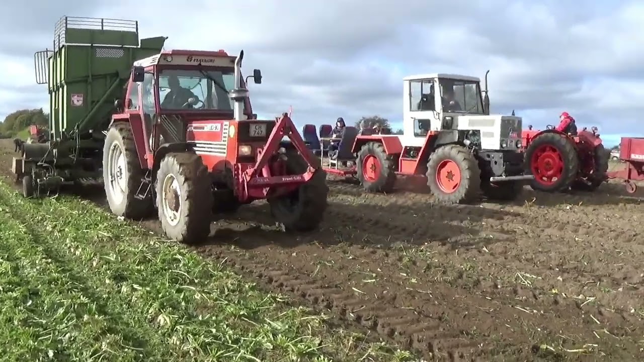 Roeoptagning på Rendebjerggård, DVTK Vestfyn, 2025 🇩🇰🚜