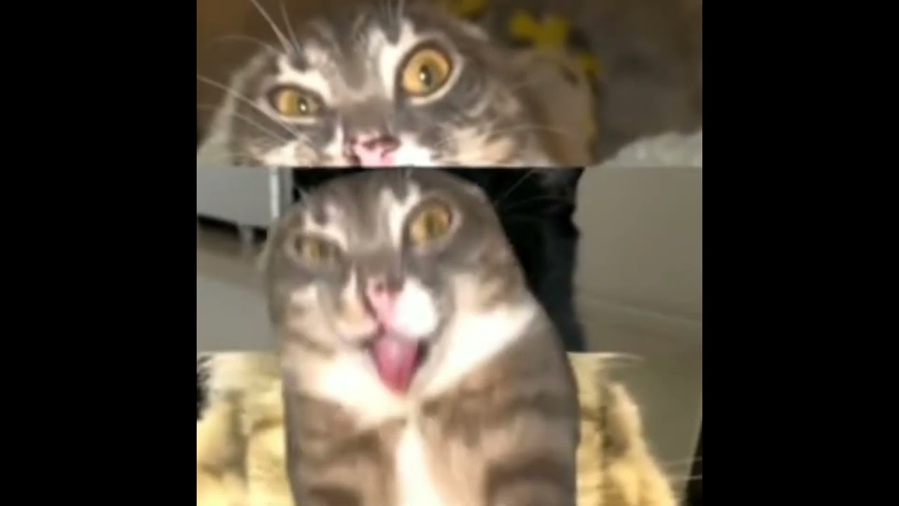 NEW CONTENT CREATOR SUBSCRIBE MUST PLZZZ.BIG FAN OF