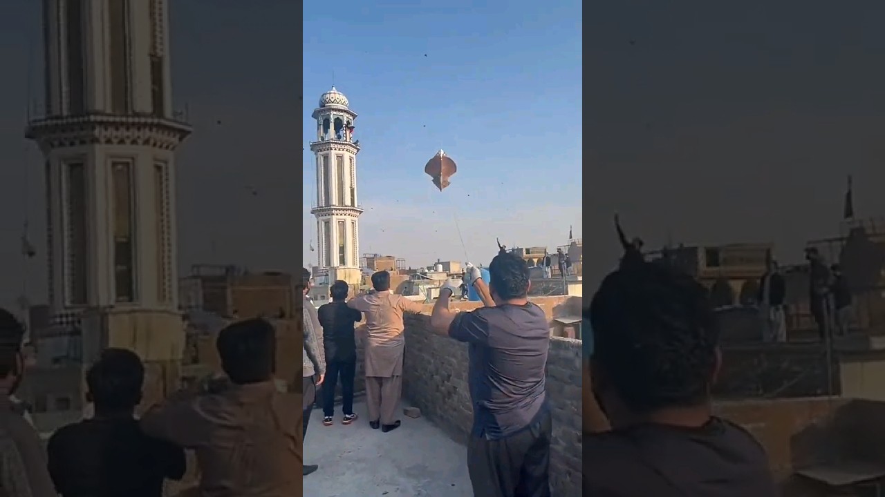 Biggest Kite Flying In Pindi Basant #kite #youtubeshorts #viral #basant #kitelovers #pindi