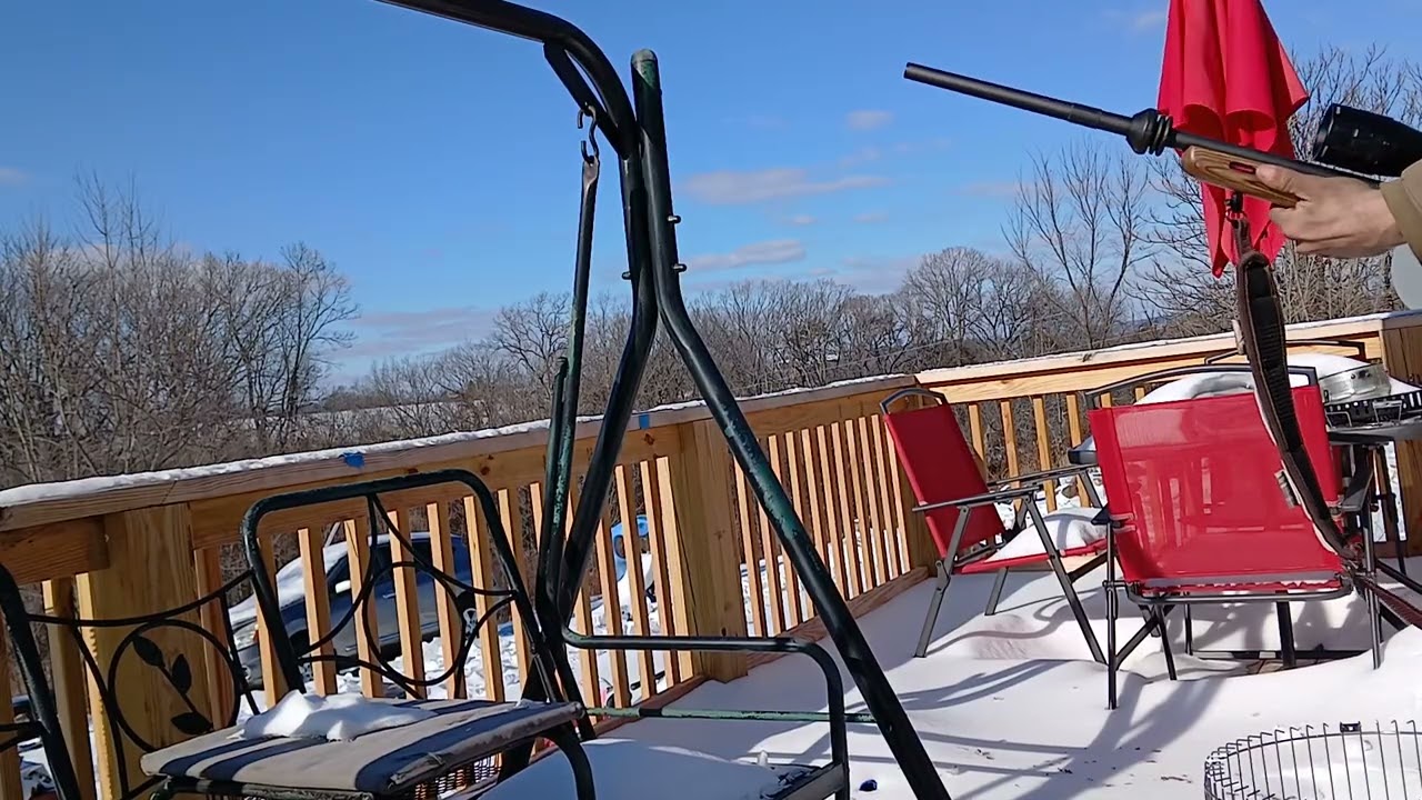 Shooting a SAVAGE MODEL 25 204 RUGER CAL 
