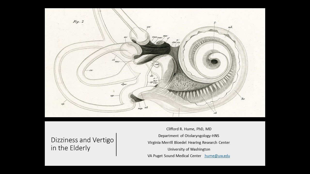 Dizziness and Vertigo in Older Adults