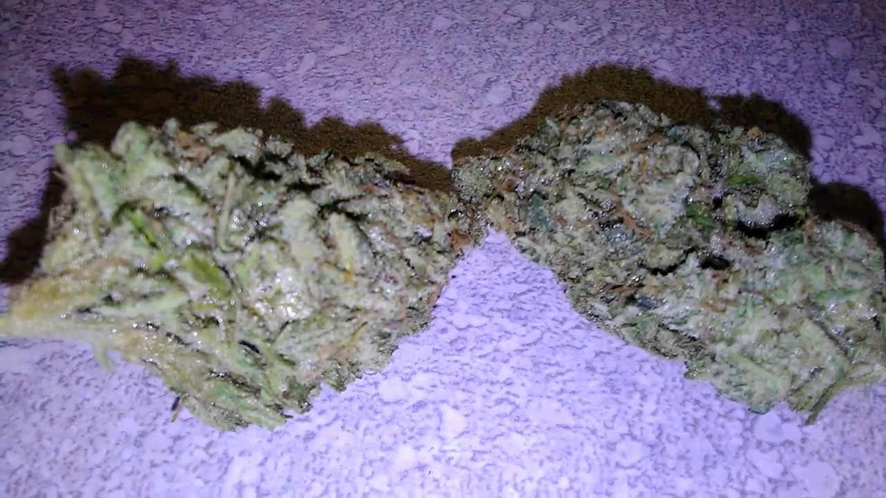 G13