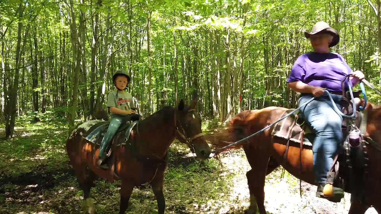 Experience Erie: Trail Riding at Double DAB Riding Stables