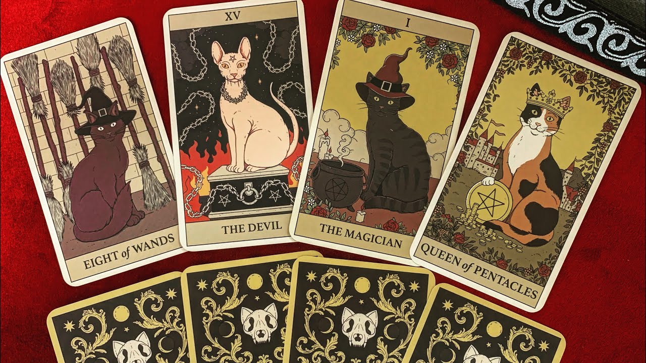 Новинка!! “Cats rule the Earth “ Tarot 🐈‍⬛🐈🐈‍⬛Обзор колоды Таро «Кошки правят миром»