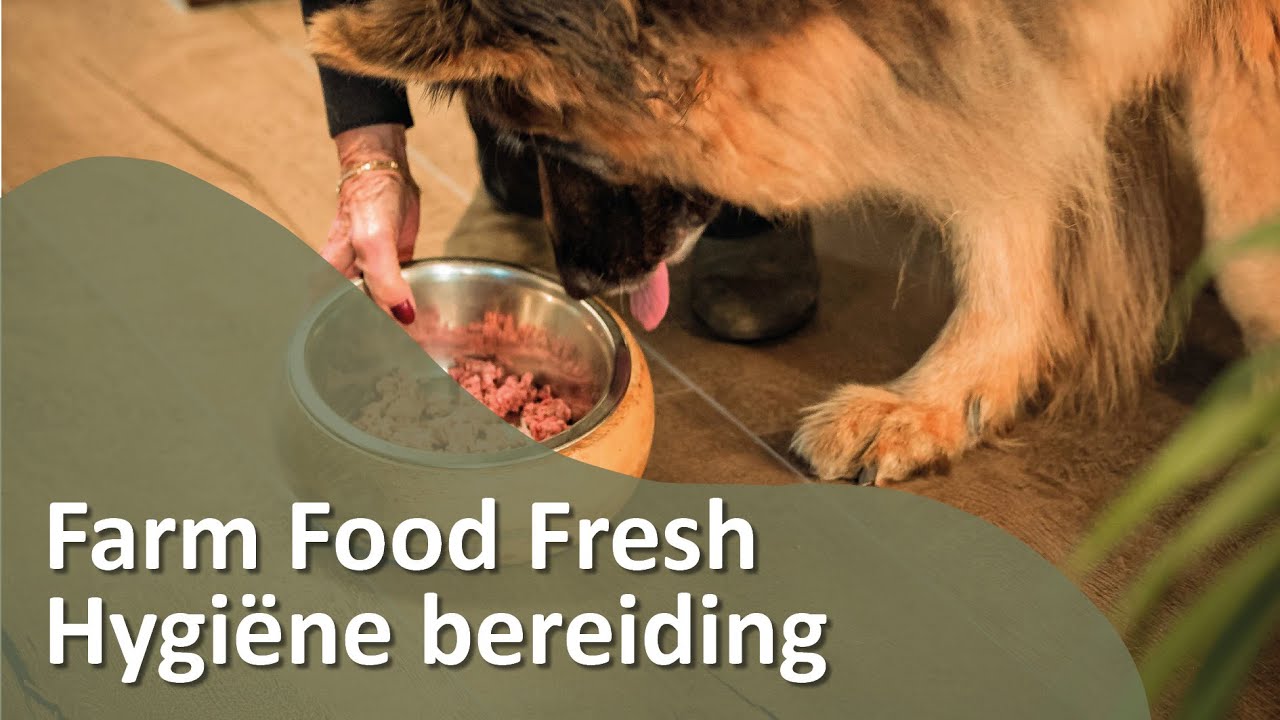 How to feed fresh meat safely and healthily. Farm Food Fresh Hygiene preparation.