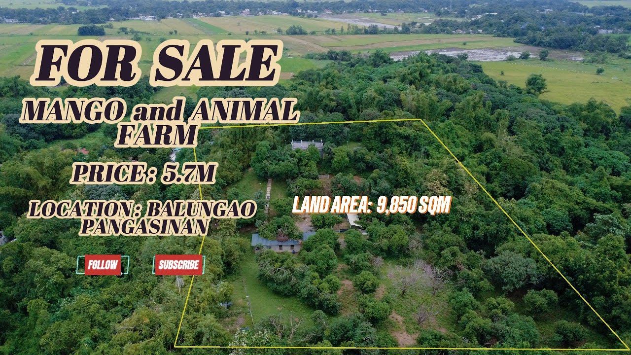 (V369) 9,850 SQM MANGO AND ANIMAL FARM, PRICE 5.7M, LOCATION BALUNGAO PANGASINAN, WITH DRONE VIDEO