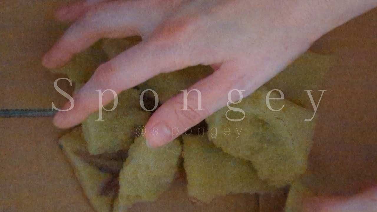 ASMR Sponge 🧽 Dry and Damp Ripping Foam Pieces 🧽 JUNK