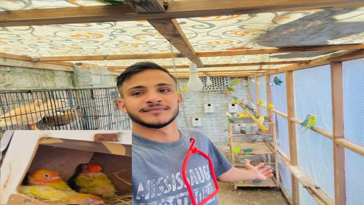 are yaar yah parrot ke bacche😭ko kya hua🤔