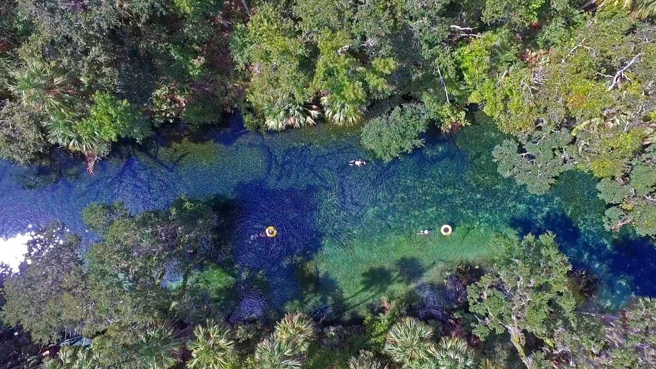 Florida Travel: Visit Blue Spring State Park