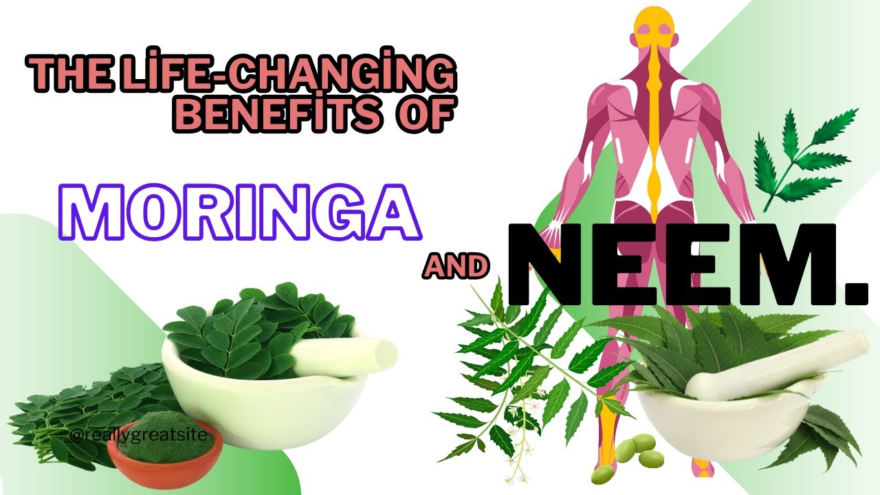 Discover the Life-Changing Benefits of Moringa  and Neem