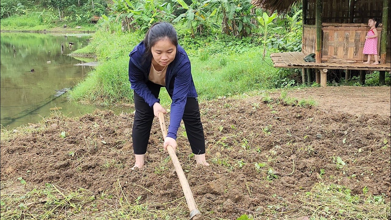 single mother with many children - how to maintain life? nursery and planting of vegetable varieties