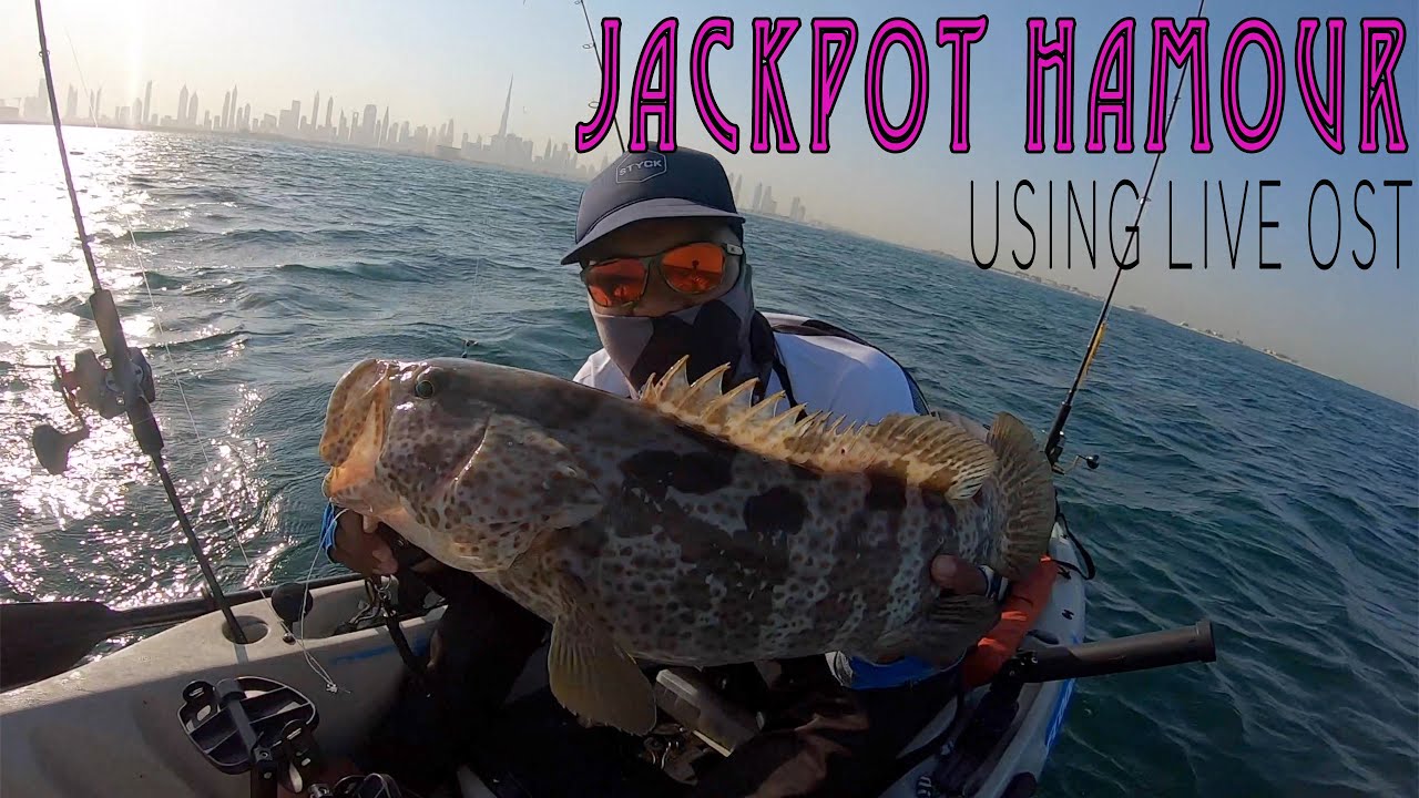 Kayak in Dubai| Jackpot Hamour| UAE