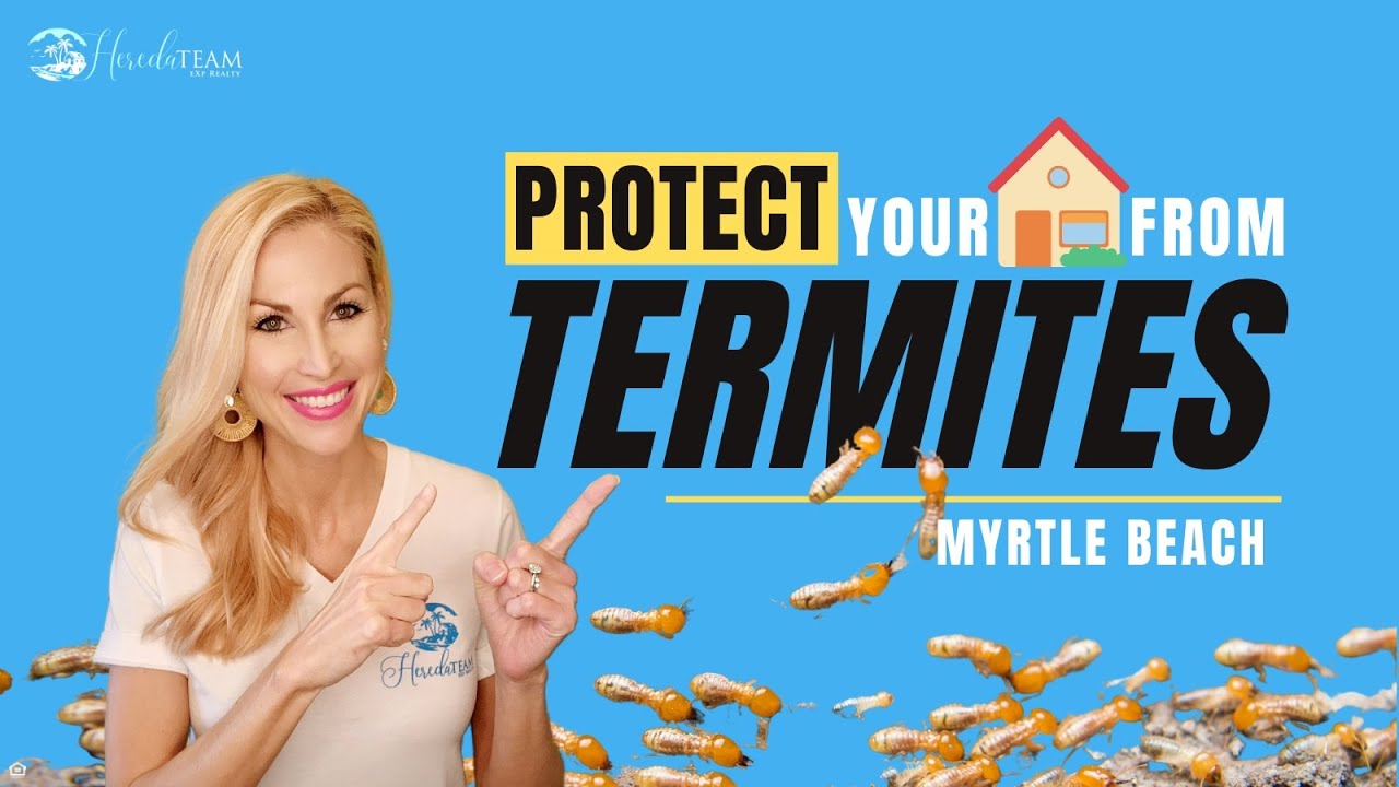 Don't Let TERMITES DESTROY YOUR HOME!!  - Myrtle Beach SC
