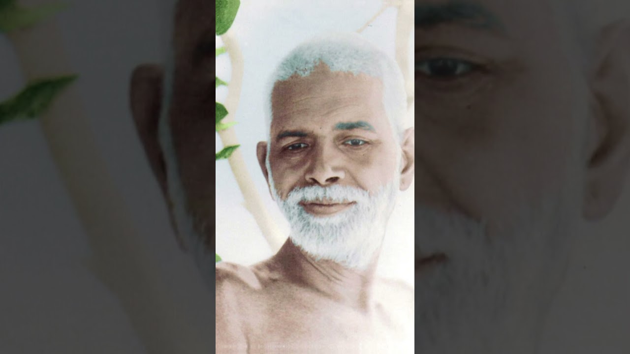 Bhagavan#hindudharmakshetram #ramanamaharshi #hinduguide22 #spiritualguru