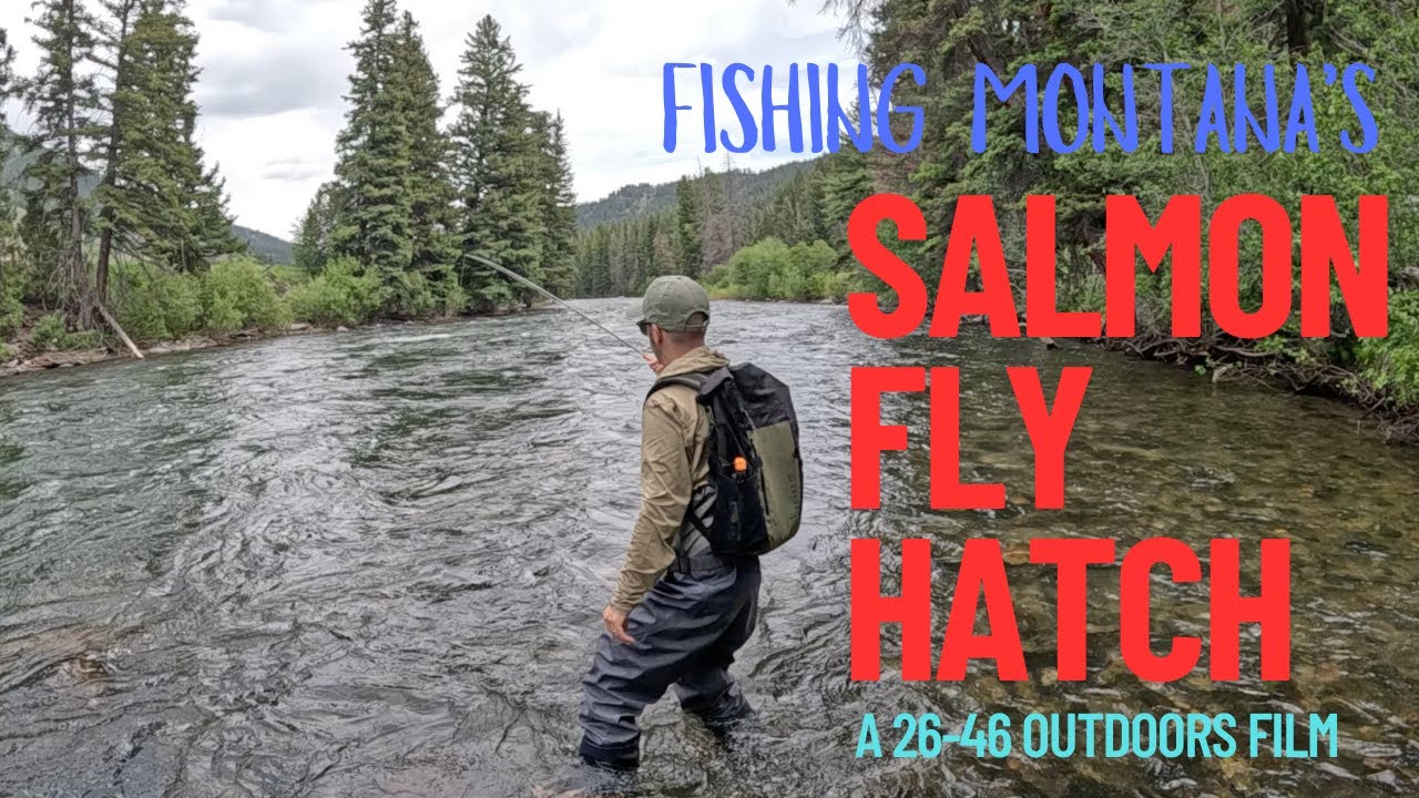 Salmon Fly Hatch