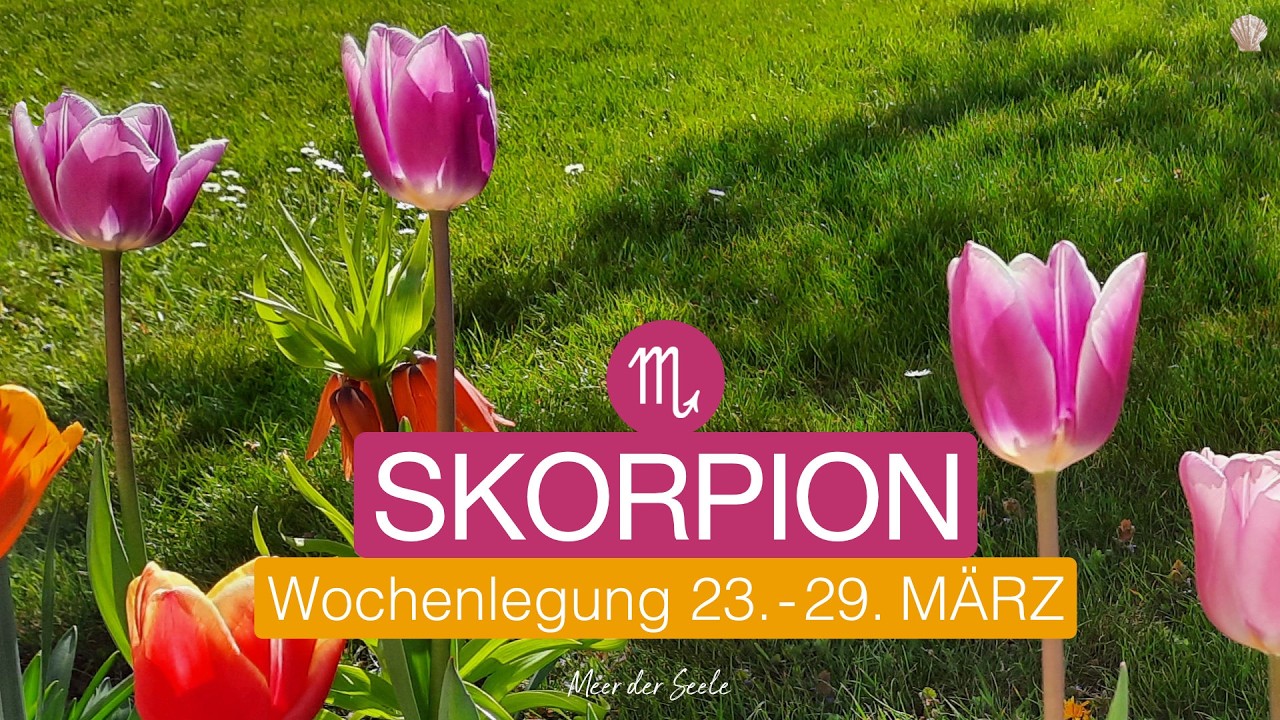 Skorpion ♏️ 