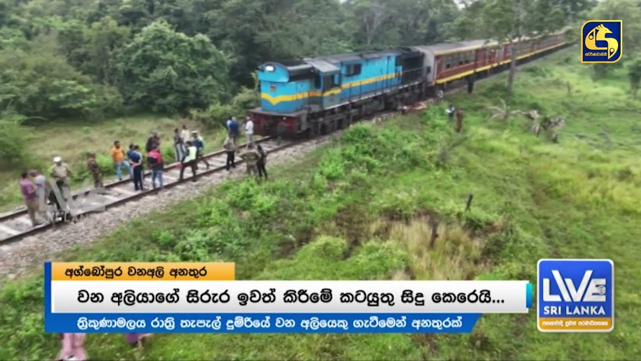 යකඩ යකා අලි පැංචෙක් බිලි ගනී | මගීන්ගේ රස්තියාදුව ඊට එහා
