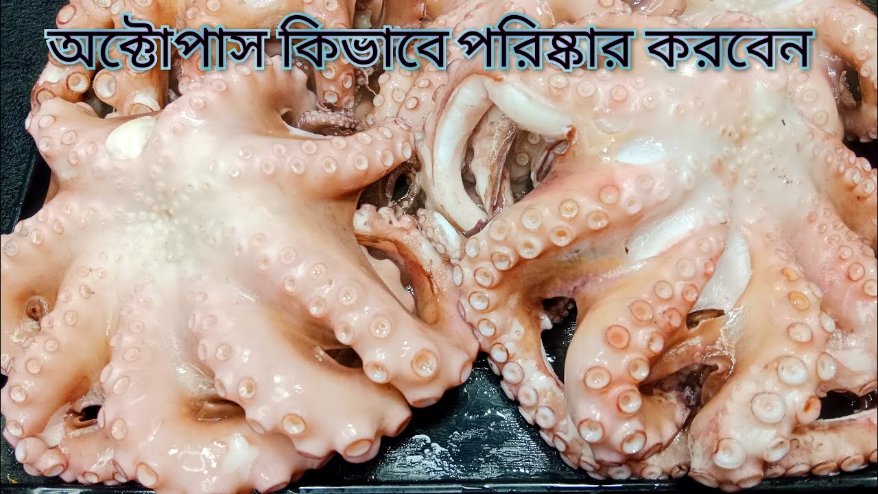 how to clean octopus in bangladesh | sea food recipe