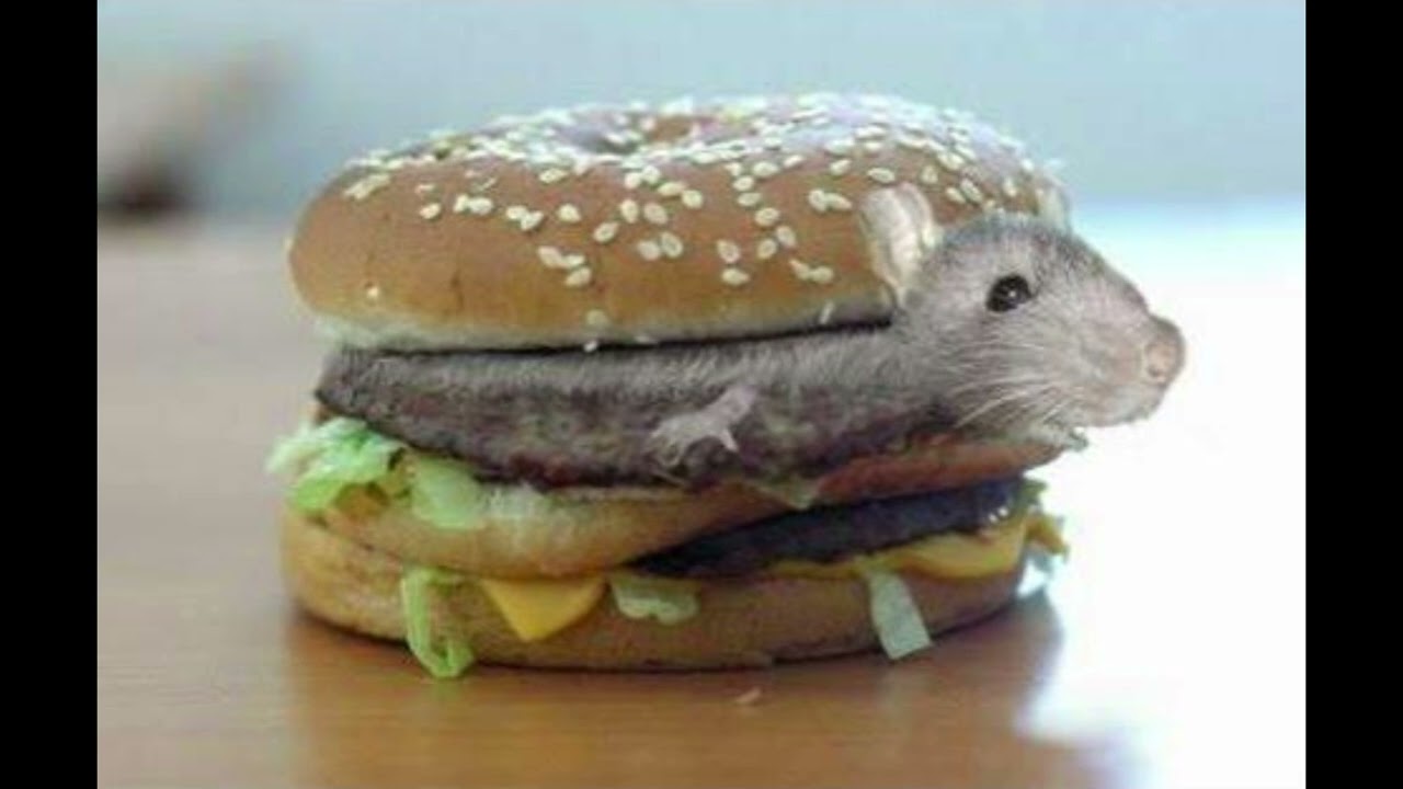 McDonalds Hamburger