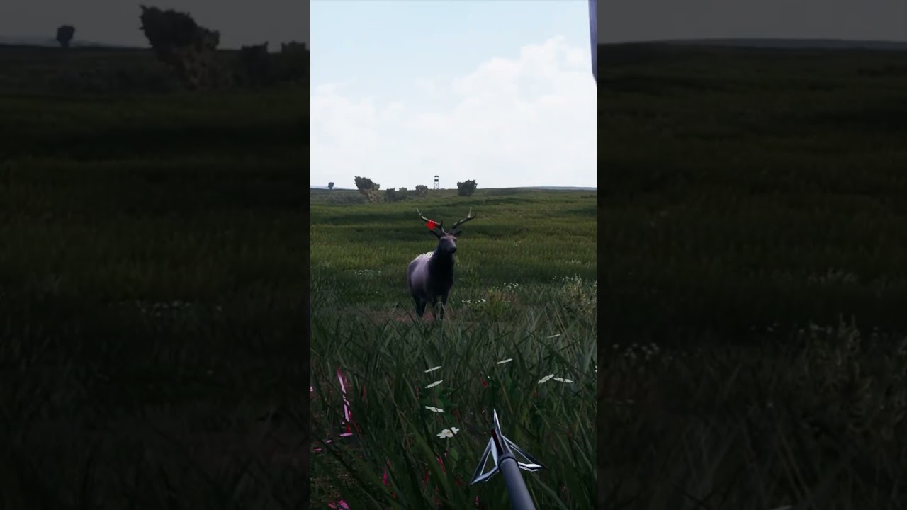 Double Elk Bow Shot!!! - Hunting Simulator 2