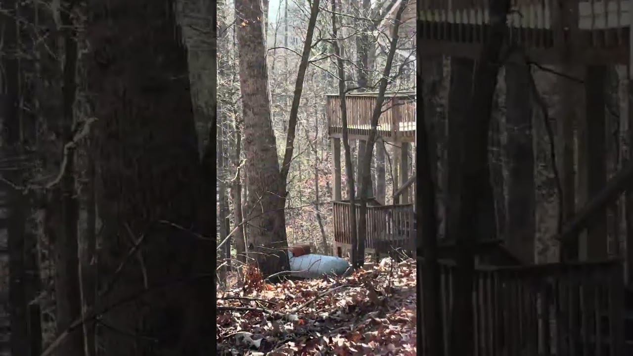 310 Falcons Nest Rd, Walhalla, 1 of 3