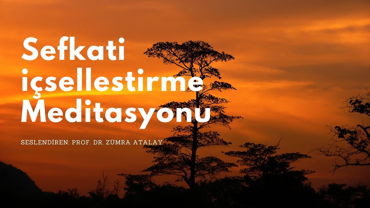 Şefkati İçselleştirme Meditasyonu #11