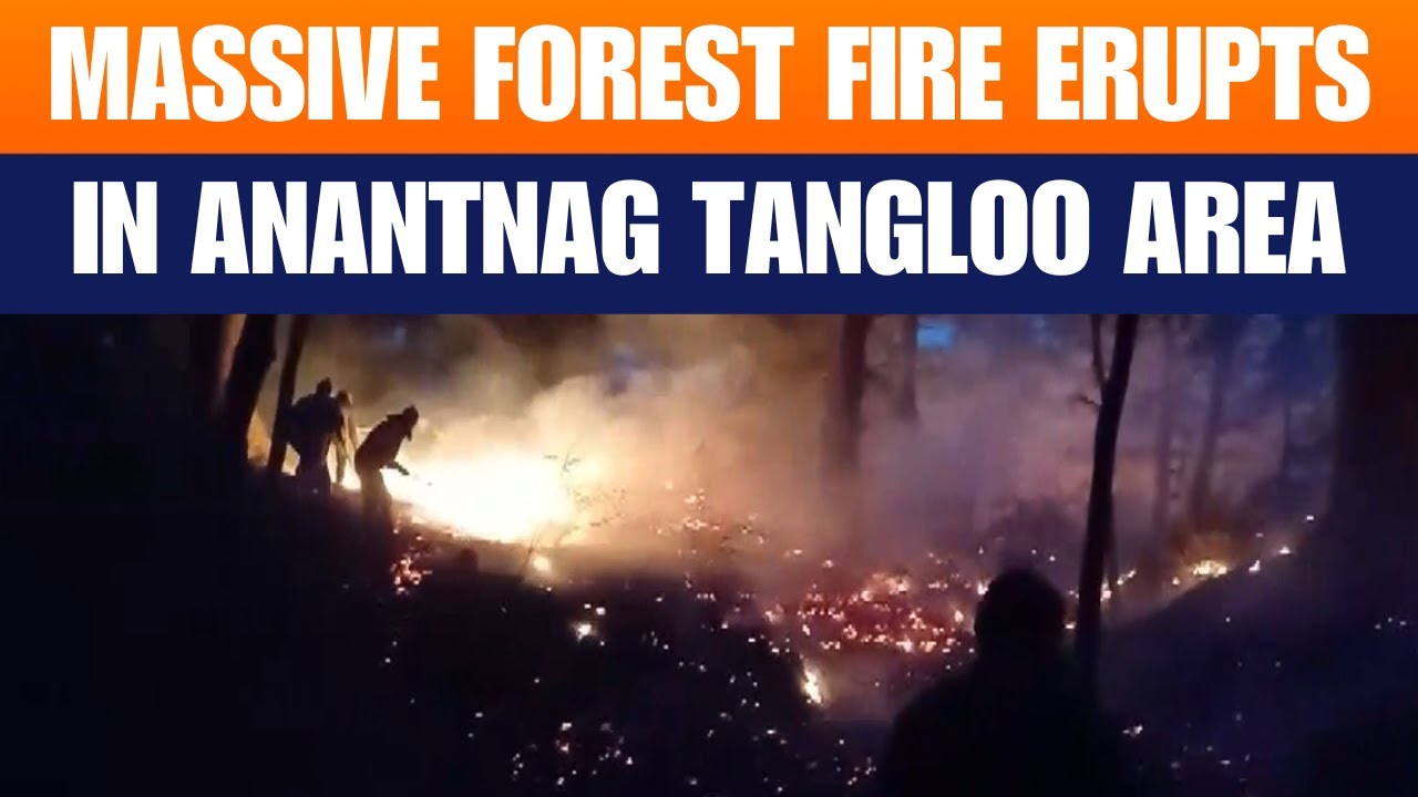 Forest Fire Erupts in Anantnag Tangloo Area | J&K Rescue Ops Underway | News9