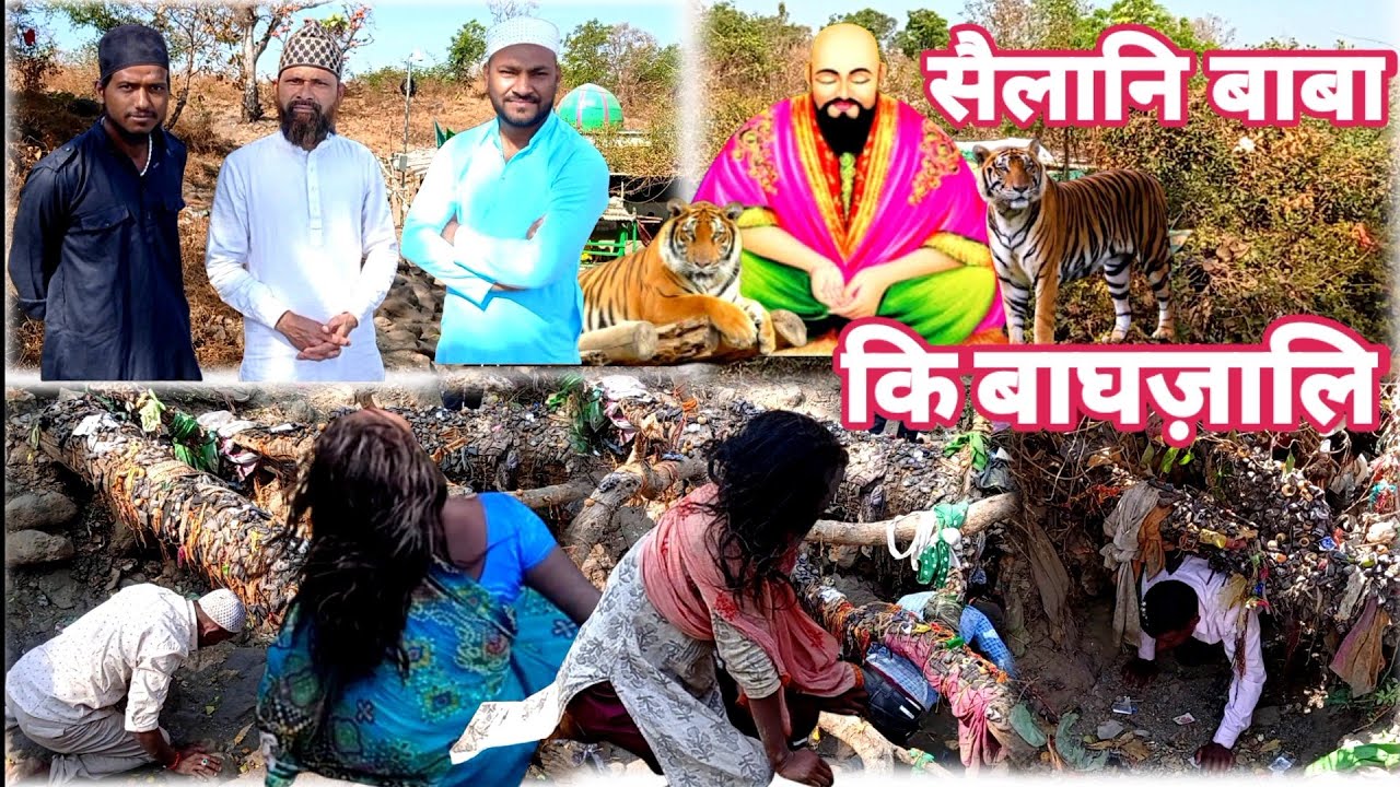 SAILANI BABA KI BAAGJALI#sailani_baba#sailani_baba_Dargah#sailani_baba_Baagjali#dargahvlog#mela2025