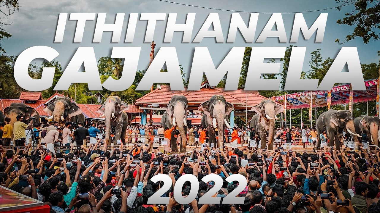 Ithithanam gajamela 2022 | Elamkavu Devi Temple | Puthupally keshavan |