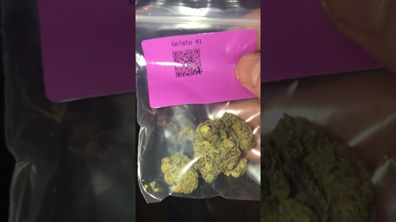 Amsterdam gelato 41 #amsterdam #gelato #bloggers #coffeeshop #october #eurotrip #3weeks #420