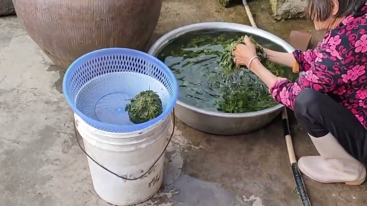 China Travel | Discover Real Life Everyday in China Countryside 