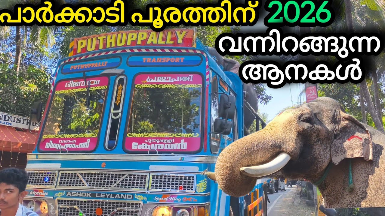 Parkkadi pooram2026 പാർക്കാടി പൂരം2026💥കേശവൻ അടക്കം നിരവധി ഗജവീരന്മാർ🐘വന്നിറങ്ങി parkkadi pooram2026