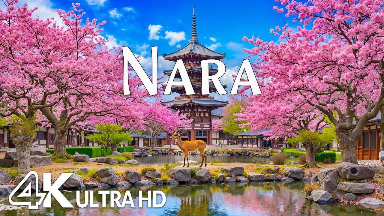 Spring in Nara, Japan 4K 🌸 Discover Sakura Bloom, Sacred Temples & Deer Parks 🦌 Relaxing Music