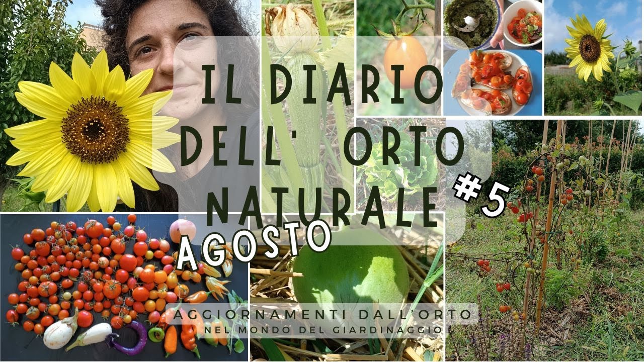 Agosto in #orto - Fioriture, Raccolti, Ricette, Lavori ed Evoluzioni | Diario dell'ORTO NATURALE 8