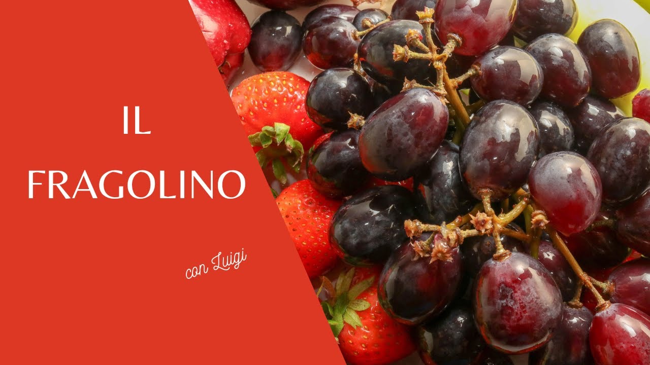 Il Fragolino