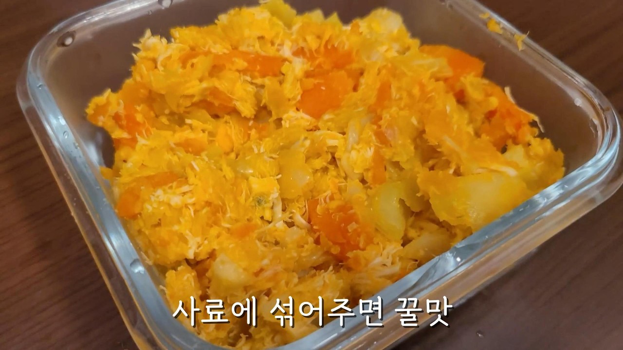 궁둥이 빠운스 반짱쓰와 닭고기 화식 개맘마 만들기