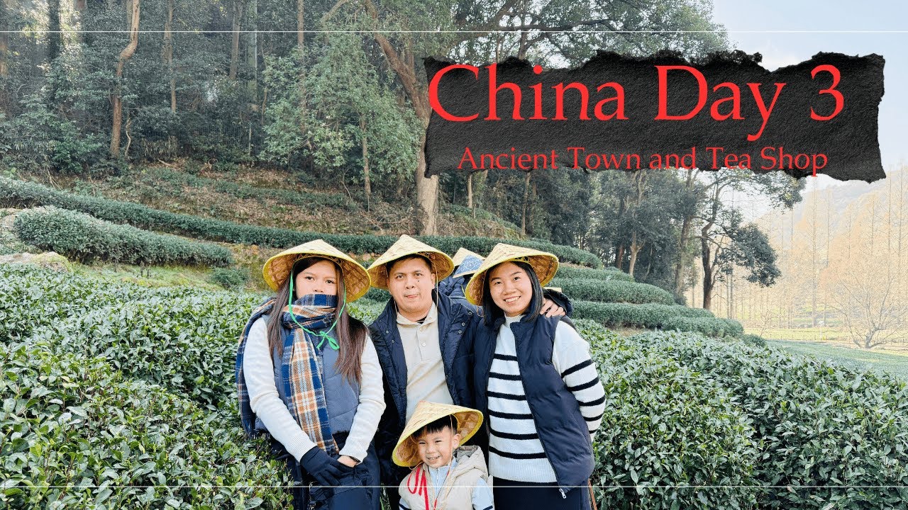 China Tour   Day 3   Tea Shop and Ancient Town