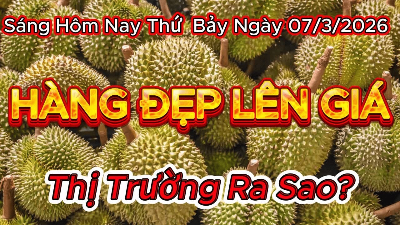 Giá Sầu Riêng Hôm Nay 07/03/2026 | Ri6 Trên 100k, Thái 170k – Thị Trường Đang Ra Sao?