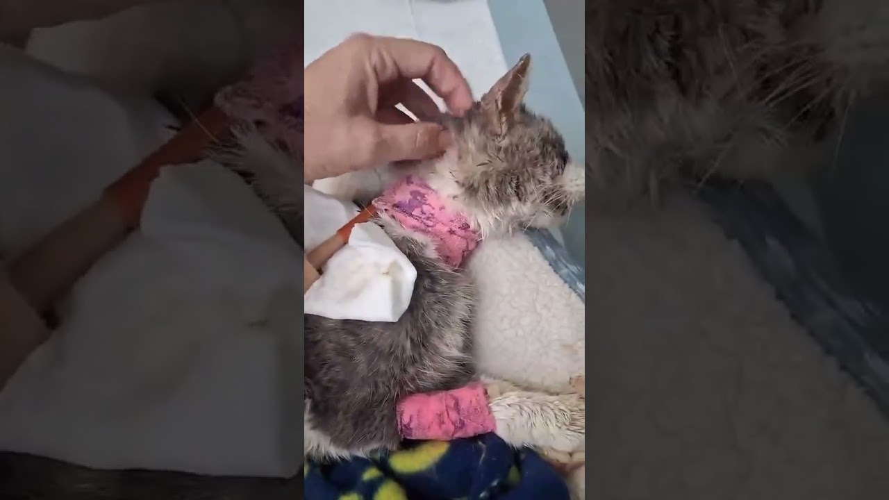 Penelope Update! [STORY BELOW]