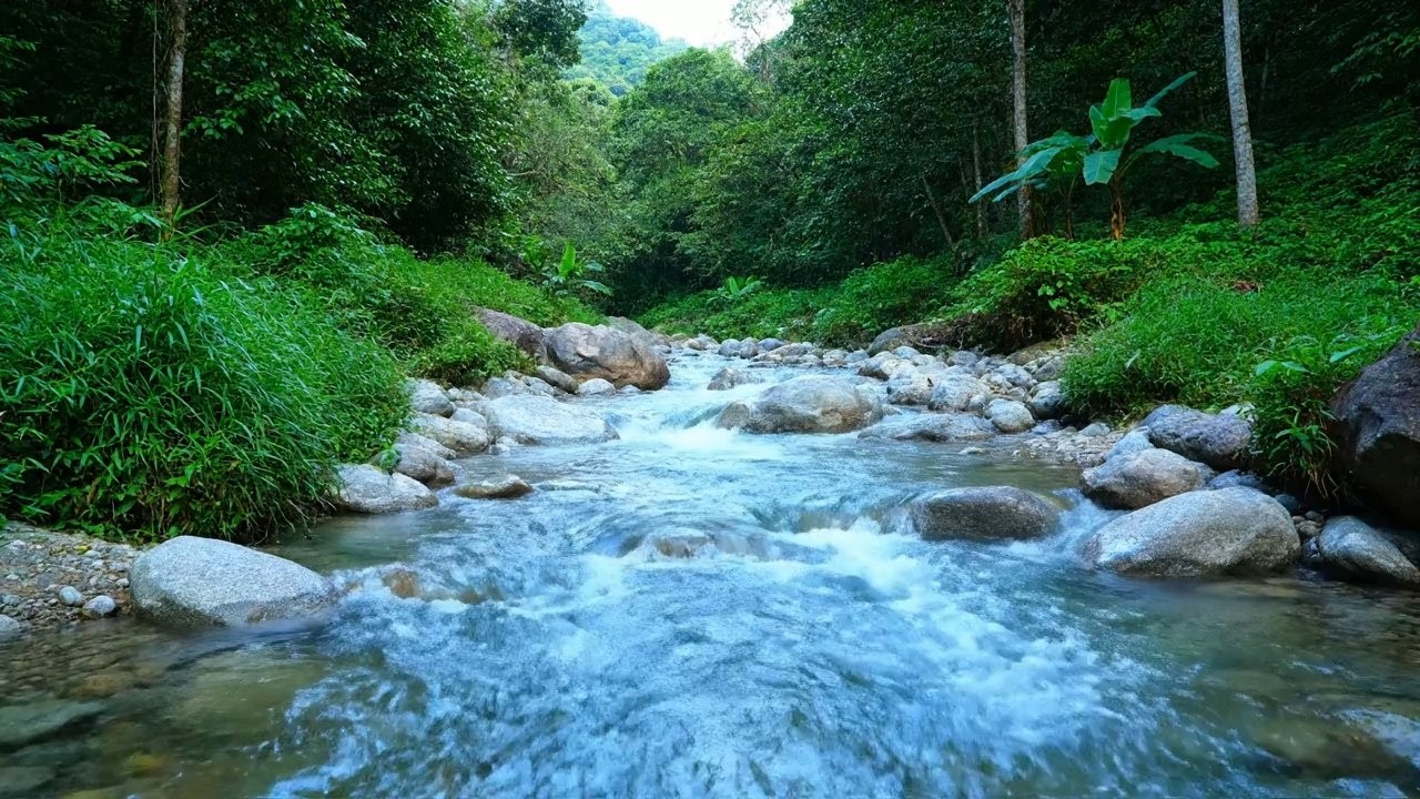 Soothing Escape – Beautiful Enchanted Water River Sound in Hidden Stream – Stress Free