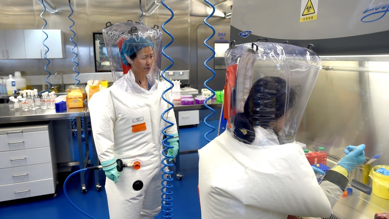 Novel coronavirus has a ‘signature’ never ‘seen in this virus class before’