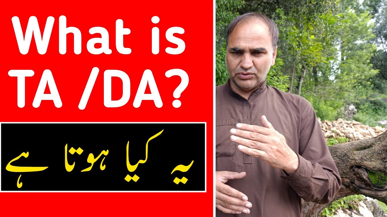What is TA/DA in Salary?