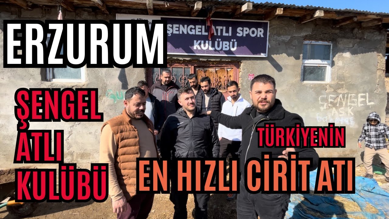 ERZURUM / ŞENGEL ATLI KULÜBÜ / 13 AT / BİR BİRİNDEN GÜZEL AT #keşfet #at #youtube