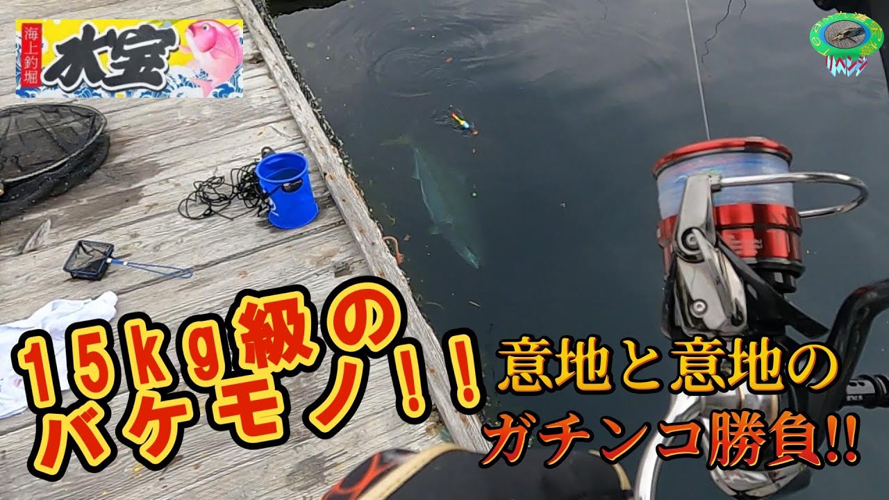 【海上釣堀】意地と意地のぶつかり合い!! 相手は15kg級のバケモノ!!