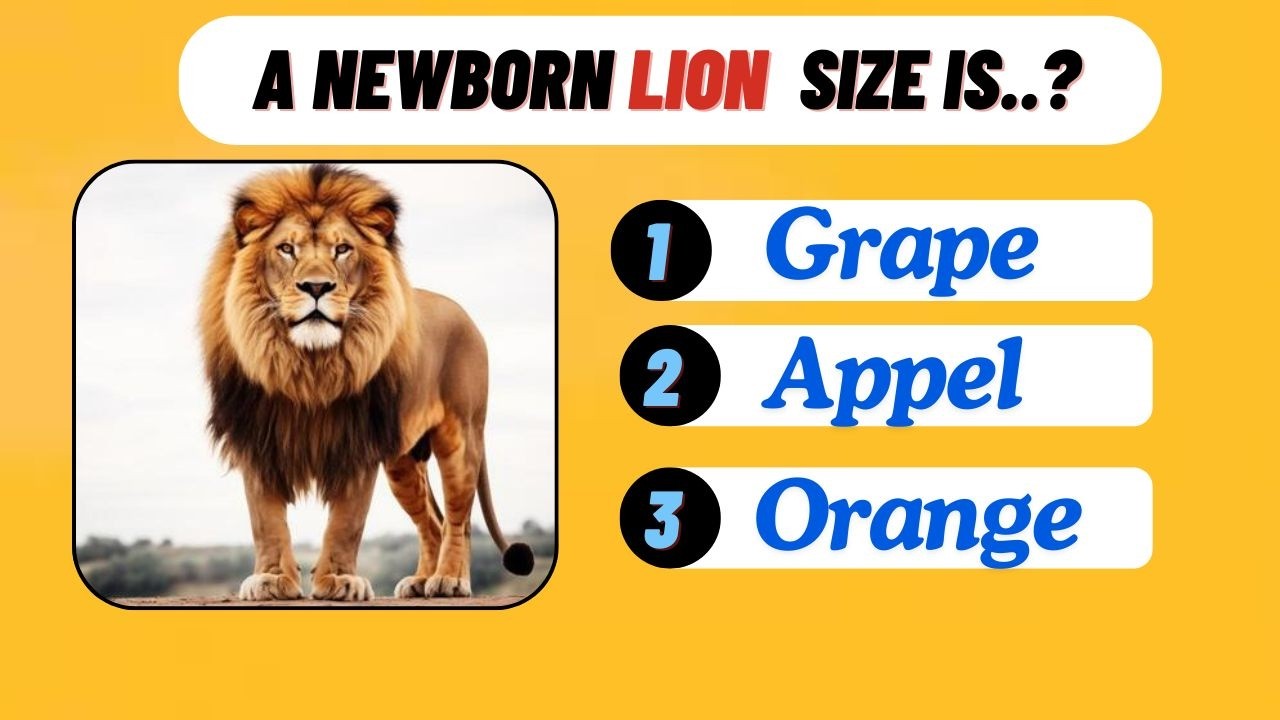 Animal Facts Quiz Challenge You Won't Believe The Answers