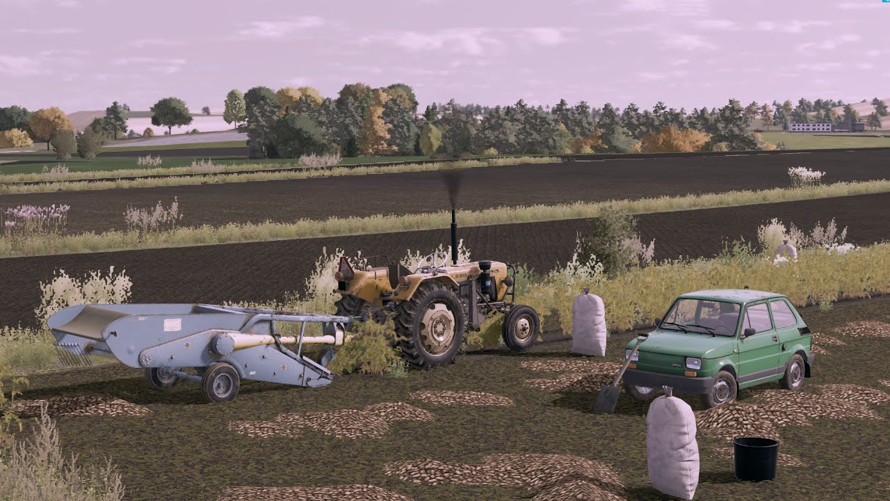 Kopanie ziemniaków w polskim stylu/FS22 Ursus C-330 z kopaczką elewatorową