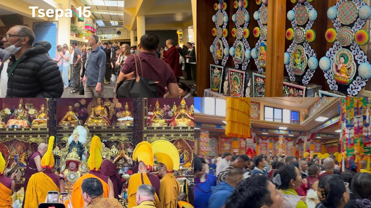 Tsepa 15 vlog|Nechung oracle#tibetanvlogger 