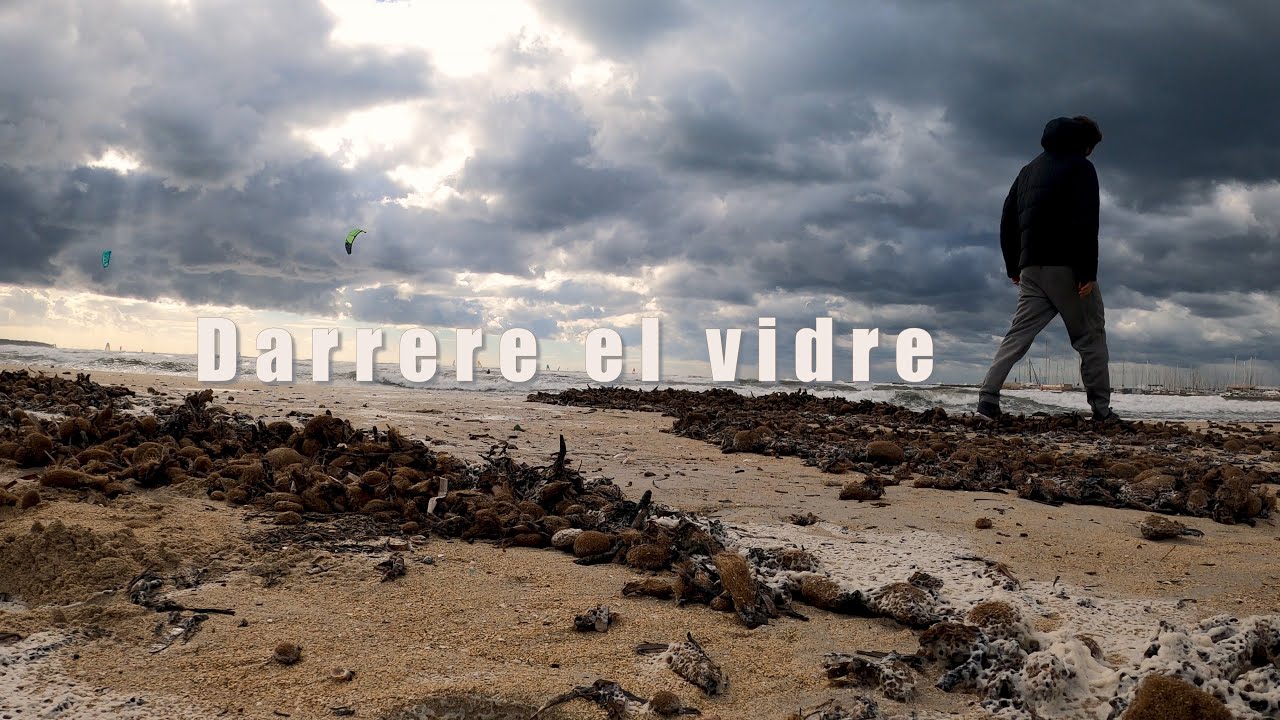 Darrere el vidre (documental completo)