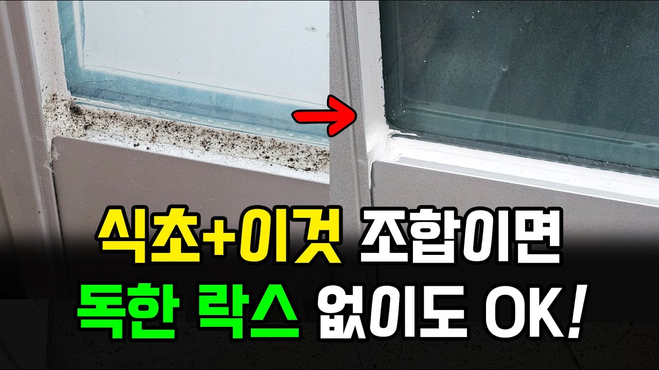 독한 락스 대신 이것! 화장실 곰팡이 완전 제거하는 청소법 공개!