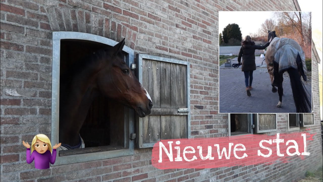 Mijn paard VERHUIZEN naar een NIEUWE stal | #Vlog48 DemiGisolf